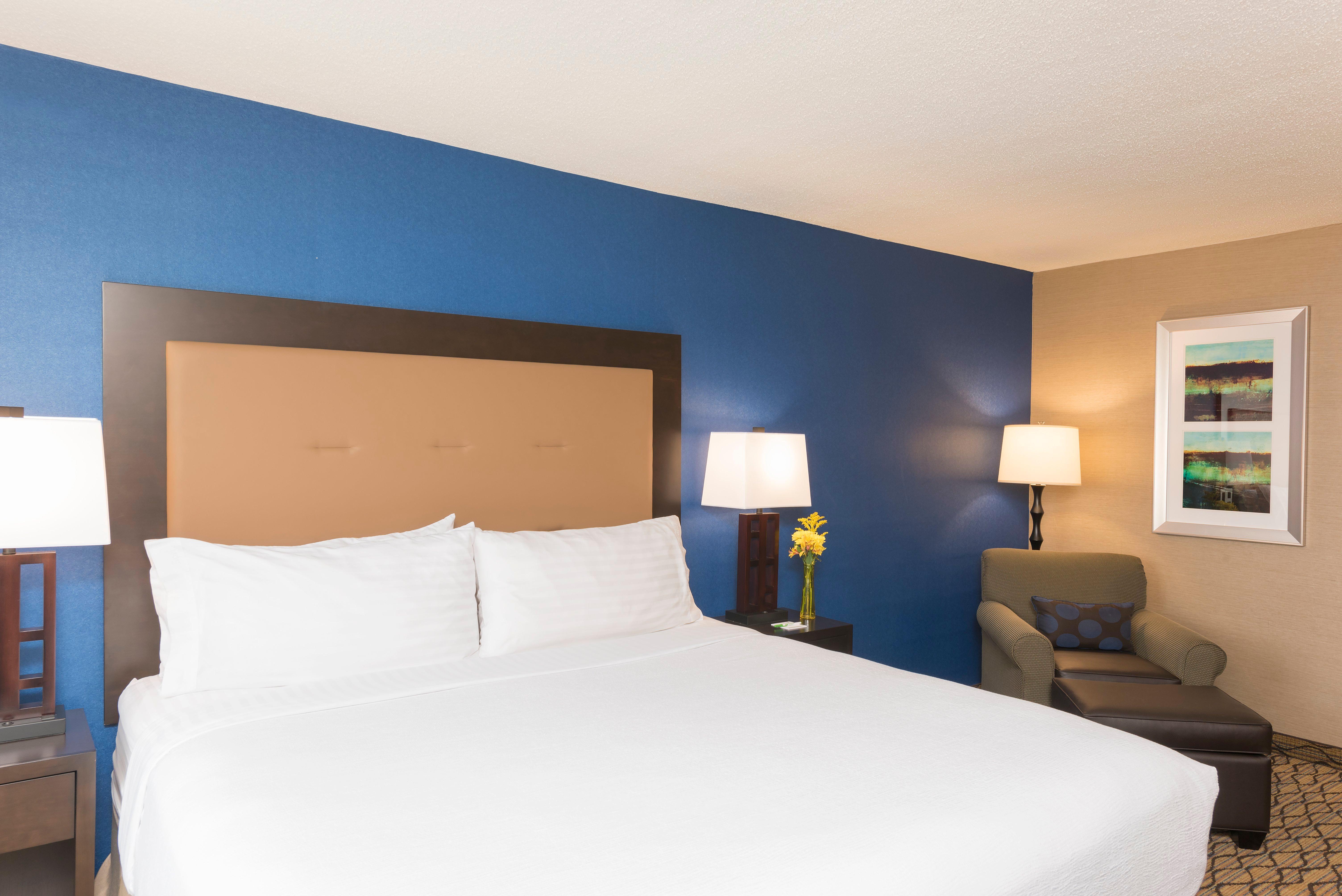 Holiday Inn Chicago - Elk Grove, An Ihg Hotel Элк-Гров-Виллидж Экстерьер фото