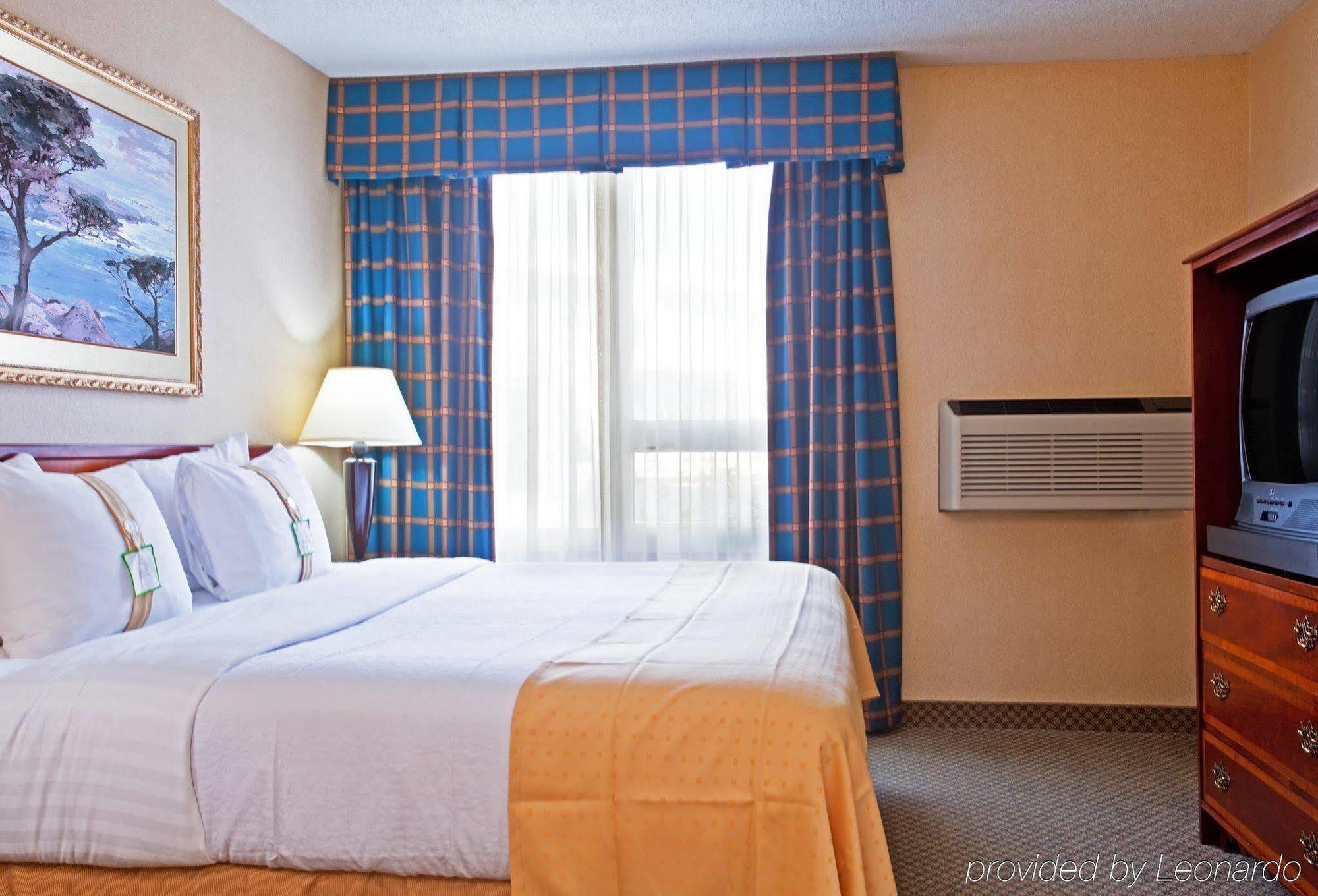 Holiday Inn Chicago - Elk Grove, An Ihg Hotel Элк-Гров-Виллидж Номер фото