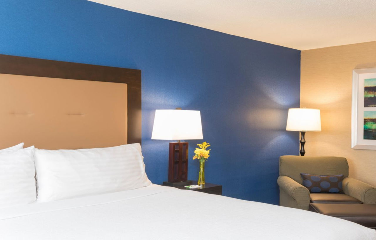 Holiday Inn Chicago - Elk Grove, An Ihg Hotel Элк-Гров-Виллидж Экстерьер фото